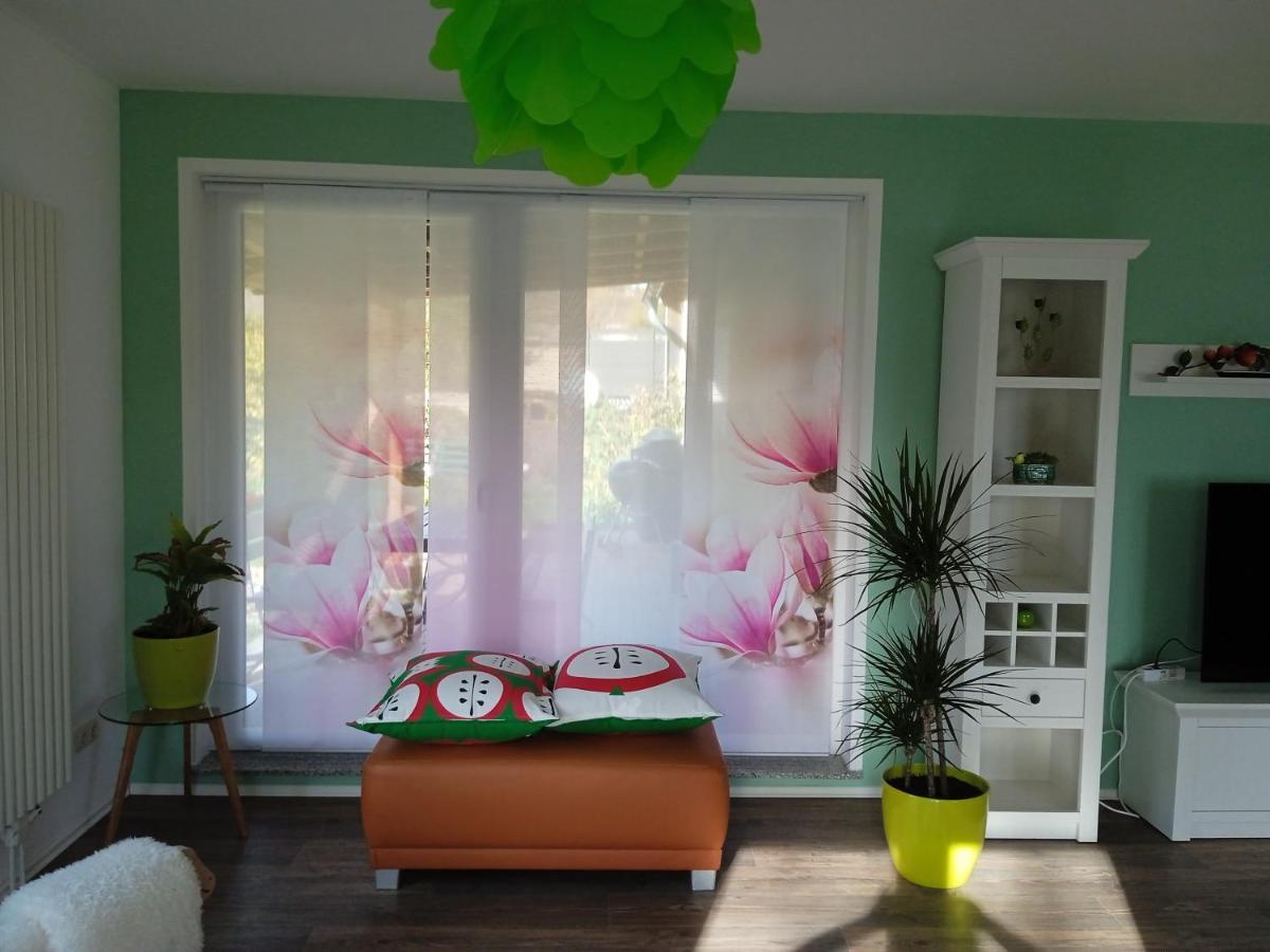 Ferienwohnung Apfeltraum 塔勒 外观 照片